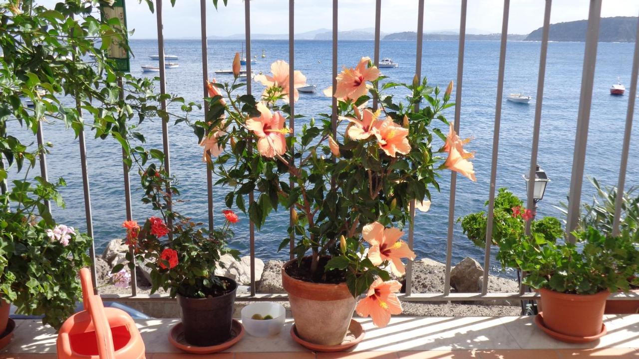 I Cinque Sensi Ischia Quarto foto